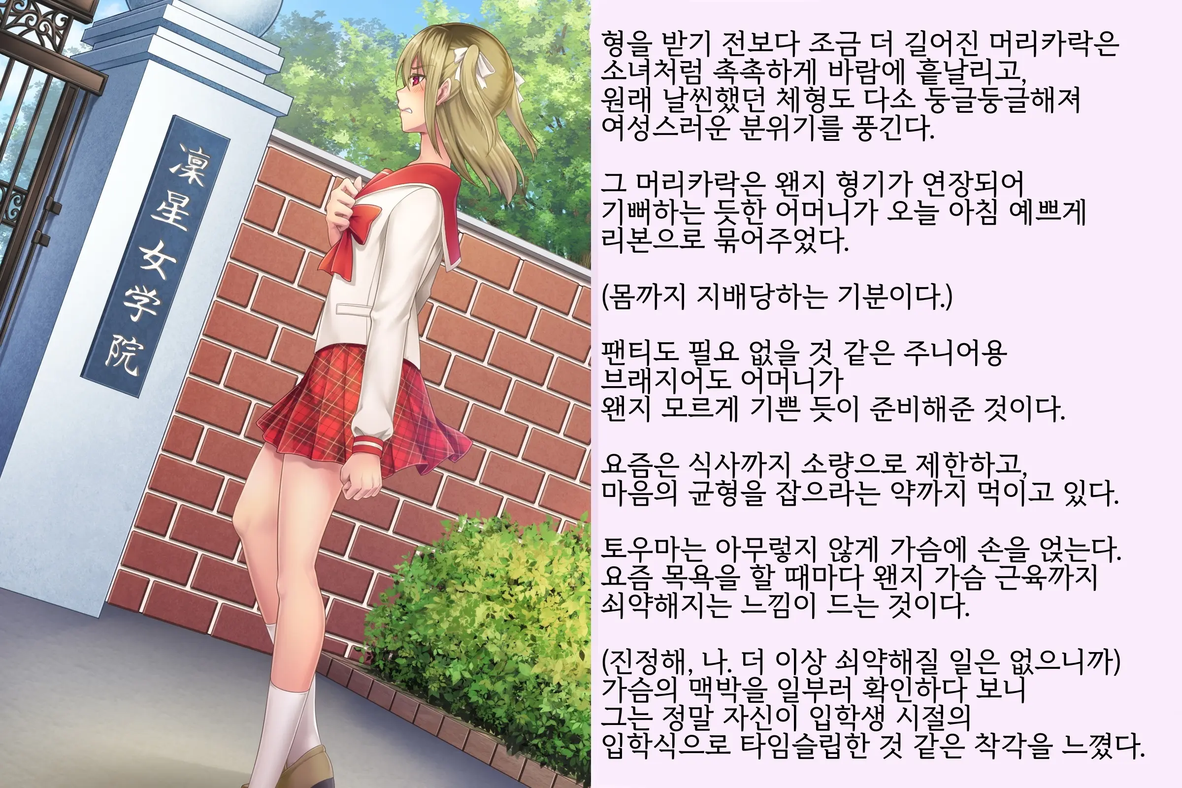 Kyousei Taikou Furyou Shounen | 강제퇴행불량소년